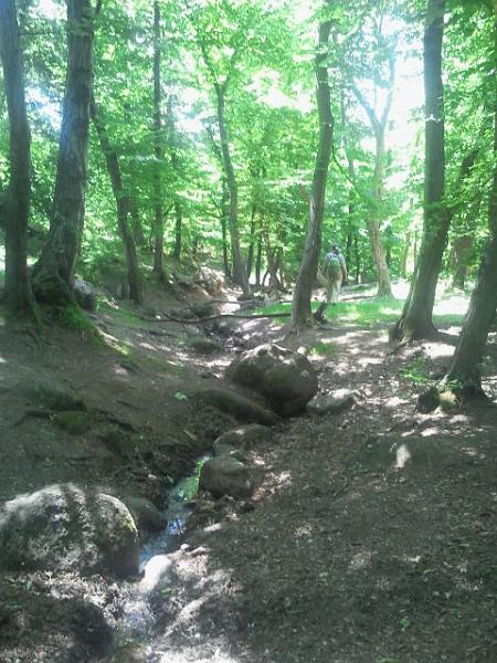 2017-05-20 12.48.29.jpg